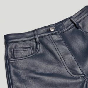 Aritzia Wilfred Melina Vegan Leather Pants | Total Eclipse 2